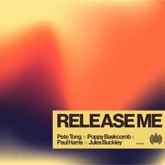 Pete Tong - Release Me (SYCR REMIX - Extended)