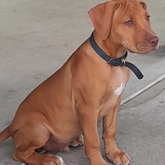 Konshens feat Rihanna - Gal Ah Talk (Remix) D&H.mp3