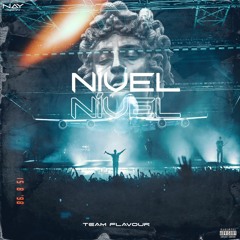 Team Flavour - Nível.mp3