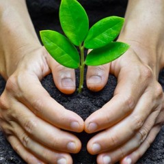 القصة : 022 -إذا أحب الله عبدا جعل حوائج الناس عنده