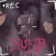 NUMB