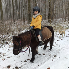 Koń (by Izabela Carter)