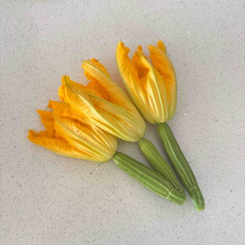 It’s been too long…