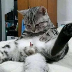 Ngaceng_Hardmix [666] - Rino L3 Remix