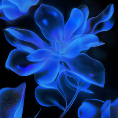 VORM002 | Maasym — Efflorescence (2014)