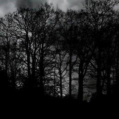 A Dark Adventure