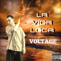 LA VIDA LOCA