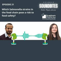 Which Salmonella strains in the food chain pose a risk to food safety?