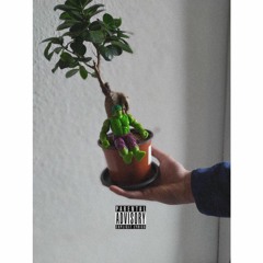 SlimGim X Laser X Knut & Gelatiere - Schlumpfhausen (prod By SlimGim)