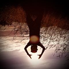 The roots of the night