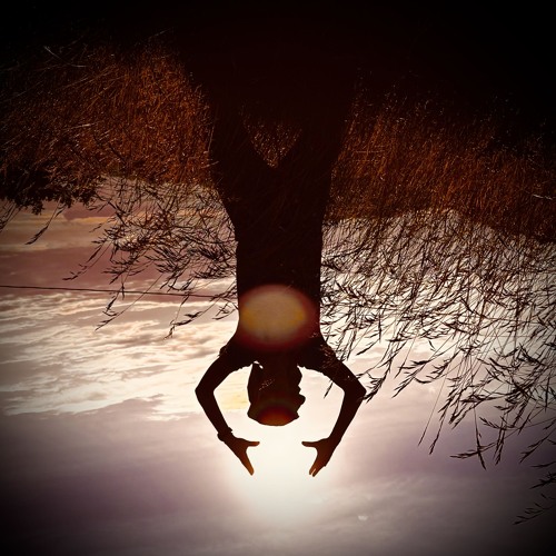 The roots of the night