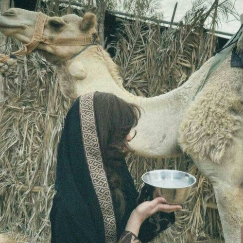 ليه ضيعت ياعين المها