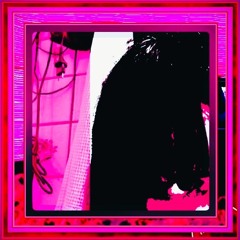 WM🌹#1145🌺💐🪻🌸🪷🌷🦚🕊️🦩🦢🩷