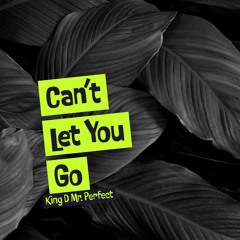 Can't Let You Go (Produced By Jack Walker)