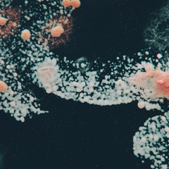 Long Time No See (Original mix | unmixed)