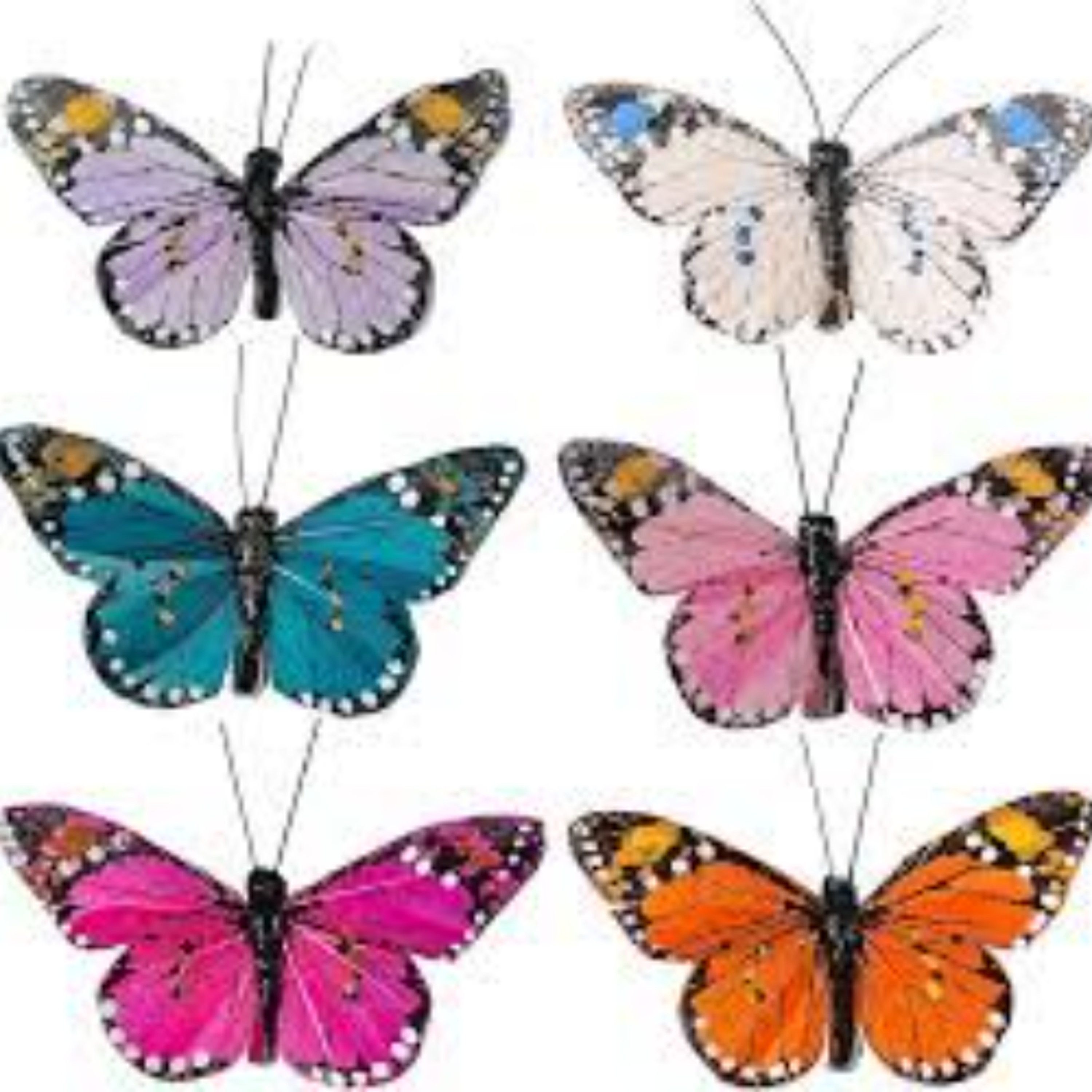BUTTERFLIES episode artwork