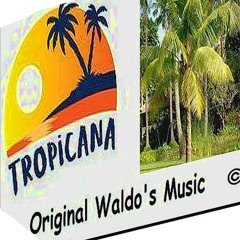 Pisa na Fulô (Nova versão)