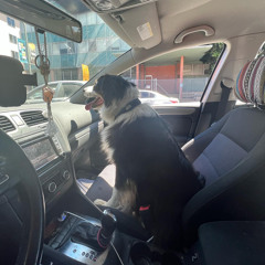 Philadelphia II - Cyberbully Mom Club (cover)