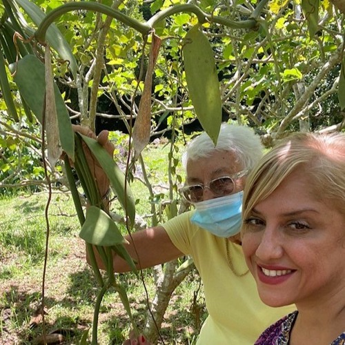 rencontres seychelles