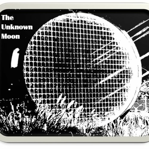 The Unknown Moon