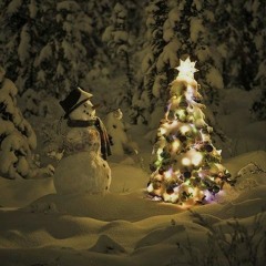 Your Best Christmas Gift