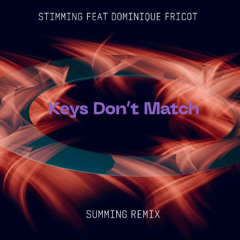 Stimming feat Dominique Fricot - Keys Don't Match (Summing Remix)