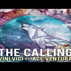 Vini Vici & Ace Ventura - The Calling (Filthy Noise RMX)