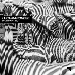 Luca Marchese - Brainporting (Original Mix) [SNIPPET]