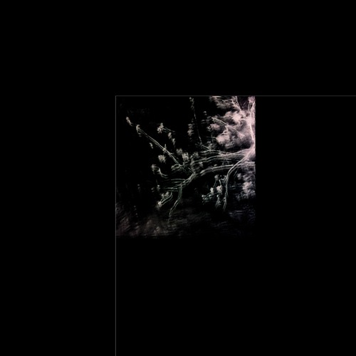 Convulse 1
