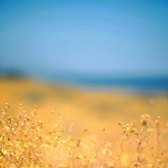 Way1one copyright free background music FREE DOWNLOAD