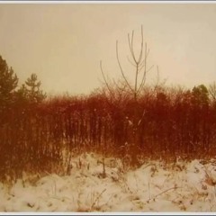 a été victime знаков дорожных