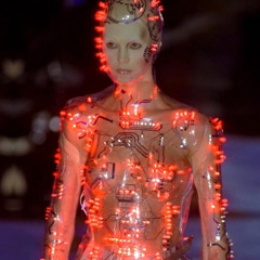 bounty to the planes