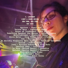 C. Lavender - Ambient DJ Set (L&SD New York, NY -  Nov 2025)