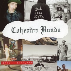 Cohesive Bonds Book