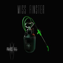 MISS FINSTER Praxis 13.5 #18