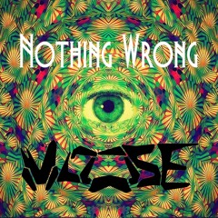 Nothing Wrong - M00SE