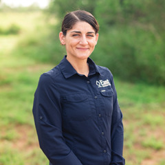 Episode 79: I Hover for Quail