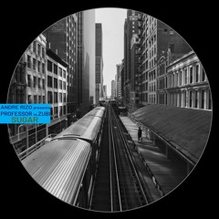 Andre Rizo Presents Professor Vs.Zubi - Sugar (Original Mix)