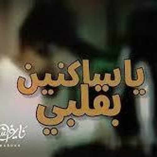 نايف الشرهان | ياساكنين |
