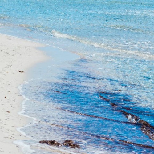 Shore #5