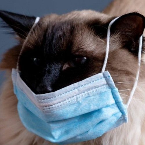 TUM TUM TUM TUM TUM TUM