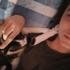 y este perro sin tune envivo version