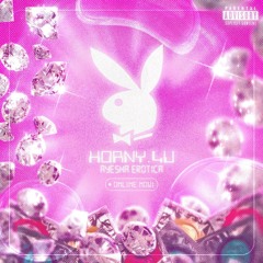 Horny.4u (Conceptual album)