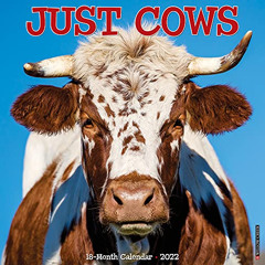 [Free] EBOOK 📘 Just Cows 2022 Wall Calendar by  Willow Creek Press [EPUB KINDLE PDF
