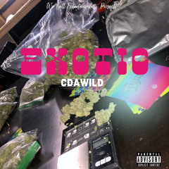 Exotic  (Prod.By Boxhead Beats)