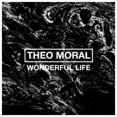 Theo Moral - Wonderful Life [ANALOGmusiq]