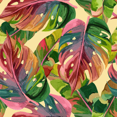 Monstera Groove