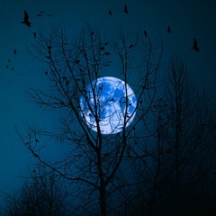 DNDM Night Original Mix