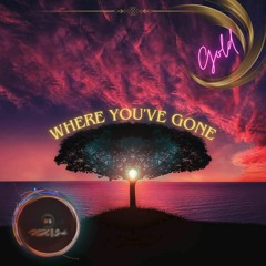 Where you've Gone