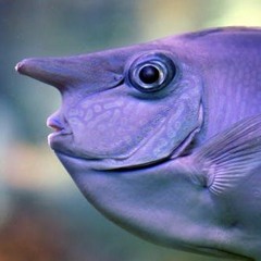 Camerons Birthday Mix